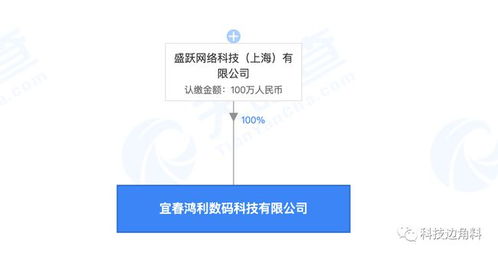 盛跃网络布局赣西，宜春科技公司成立开启区域业务新篇章
