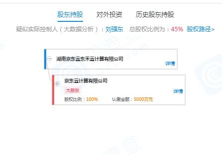刘强东的再出发 退出云计算公司，押注无人机与室内装修新赛道