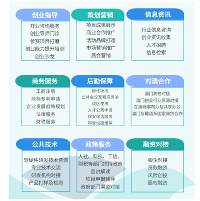 就业新航向 销售与技术服务咨询的双轨并行